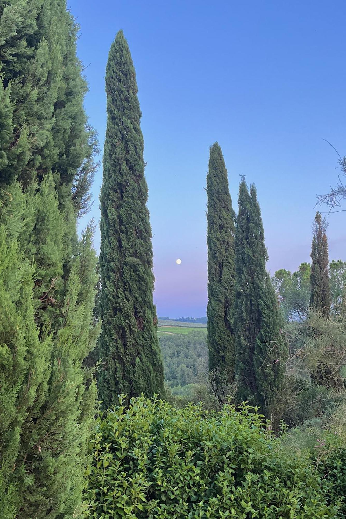 Villa Tre Colli - In The Heart Of Tuscany Чертальдо Екстер'єр фото
